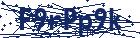 captcha here