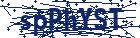captcha here
