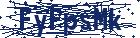 captcha here