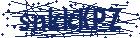 captcha here