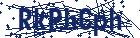 captcha here