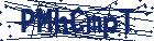 captcha here