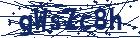 captcha here