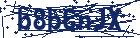 captcha here
