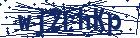 captcha here