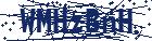 captcha here