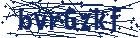 captcha here