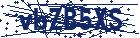 captcha here
