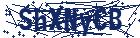 captcha here
