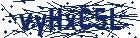 captcha here