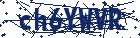 captcha here
