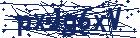 captcha here