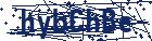 captcha here