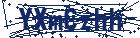 captcha here