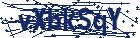 captcha here