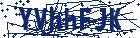 captcha here