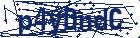 captcha here