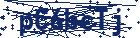 captcha here