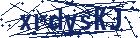 captcha here