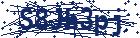 captcha here