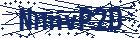 captcha here