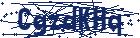 captcha here