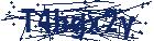 captcha here