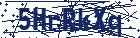 captcha here