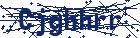 captcha here