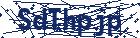 captcha here