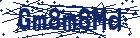 captcha here
