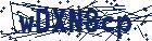 captcha here