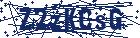 captcha here