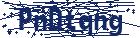 captcha here