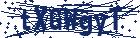 captcha here