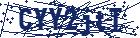 captcha here