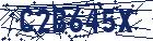 captcha here