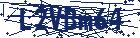 captcha here