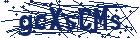 captcha here