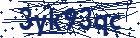 captcha here