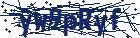captcha here