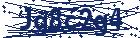 captcha here
