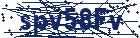 captcha here