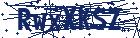captcha here