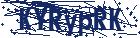 captcha here