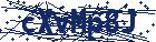 captcha here