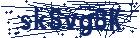 captcha here