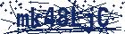 captcha here