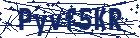 captcha here