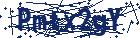 captcha here